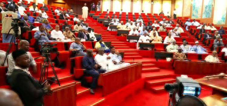 Senate Warns Against Foreign Medical Trips For President Buhari by Raphael Bichene