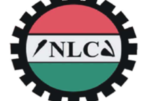 Strike: Labour Gives Niger Government Fresh Conditions by Raphael Bichene