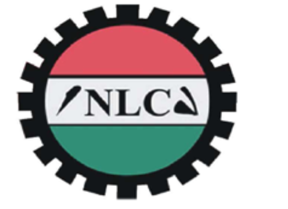 Strike: Labour Gives Niger Government Fresh Conditions by Raphael Bichene