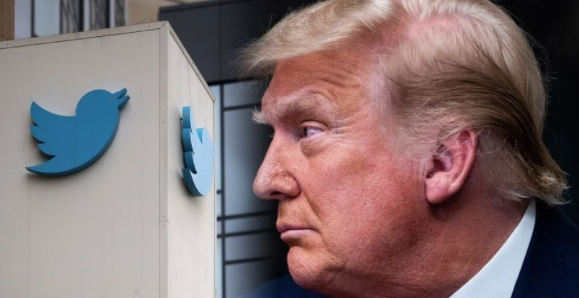 Trump Returns to Twitter, Commits to Transition by Raphael Bichene