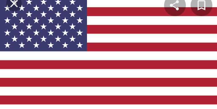 Detroit Law Maker Credits Trump After Taking Anti-Malarial Drug to Beat Coronavirus by Jessy Samuel