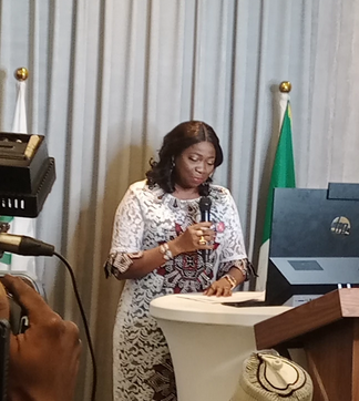 Third Nigeria Diaspora Investment Summit: FG Woos Investors With Tax Incentives by Raphael Bichene