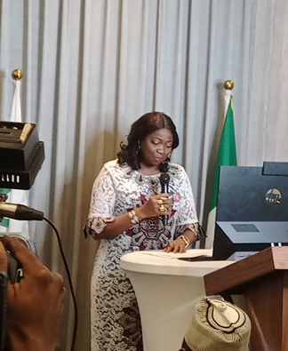 Third Nigeria Diaspora Investment Summit: FG Woos Investors With Tax Incentives by Raphael Bichene