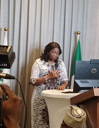 Third Nigeria Diaspora Investment Summit: FG Woos Investors With Tax Incentives by Raphael Bichene