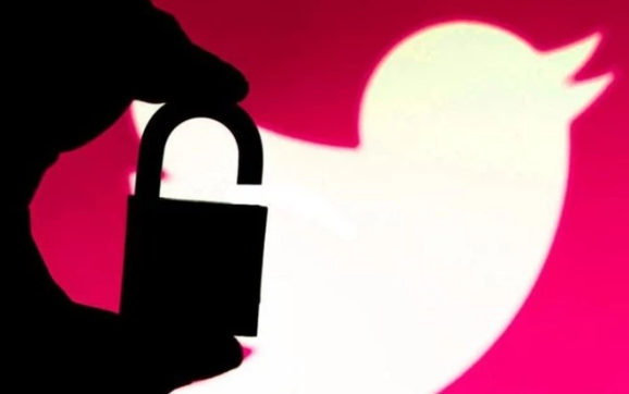 Twitter Says 36 Private Accounts Viewed by Hackers by Raphael Bichene