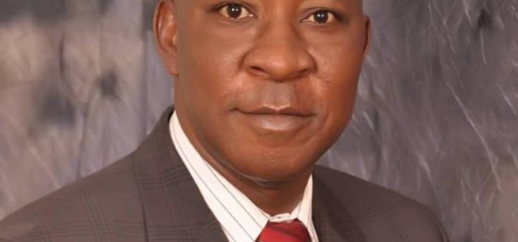 2023: APC, PDP Will Be Swept Into Oblivion -Dr Nnamani